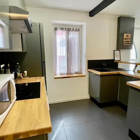 T2 Cosy Et Proche Gare דיז'ון