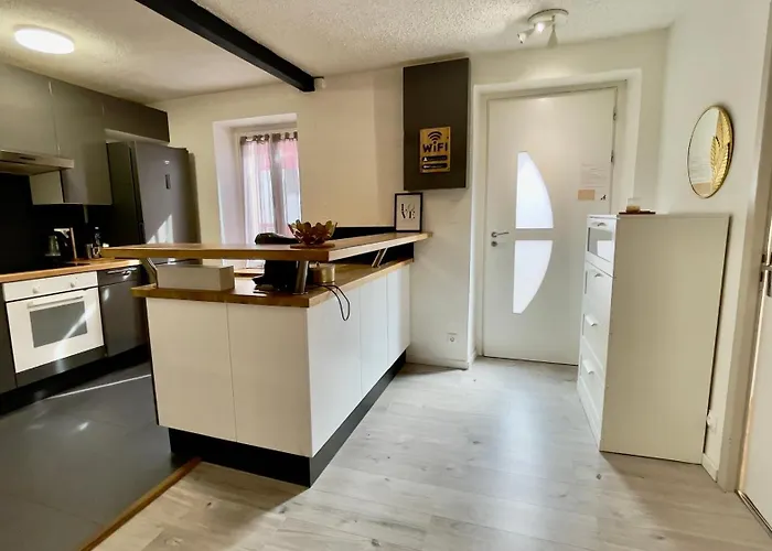 T2 Cosy Et Proche Gare * דיז'ון